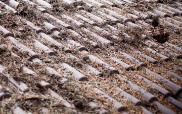 Bellingham roof cleaning companies