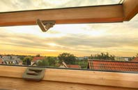 rated Bellingham roof window companies